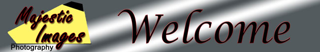 header650.jpg